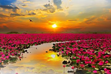 過去現在與未來