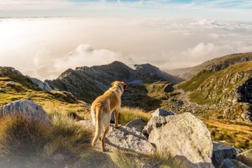 人生不過是一場旅行